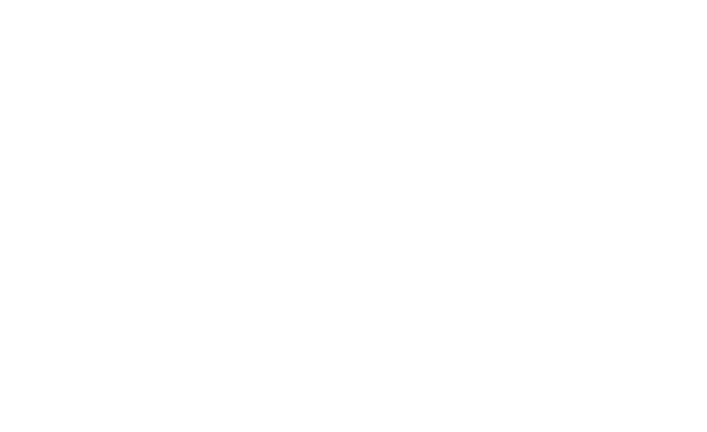 Bravo Delta official logo